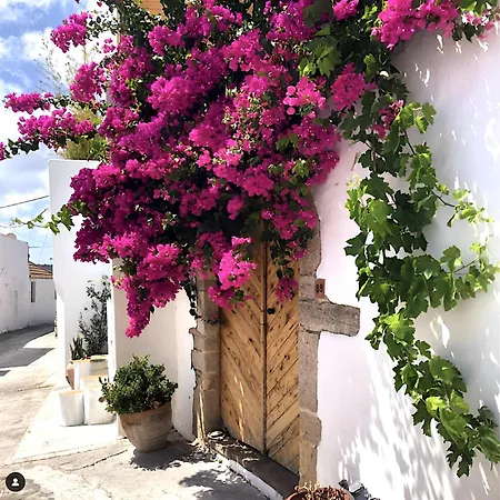 Veranna * Lachania